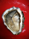 Zeeuwse oesters Oosterschelde Creuses No.2 Per 12 stuks te bestellen
